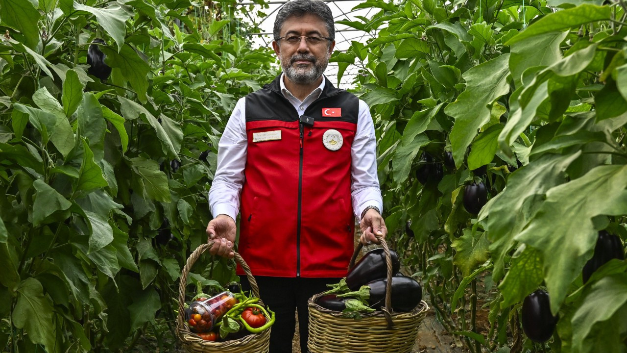 Türkiye İsrail tohumunu mu kullanıyor? Türkiye İsrail tohumunu mu kullanıyor?