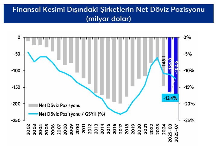 ANALİZ: Şirketlerin Döviz Pozisyonunda Gerileme ANALİZ: Şirketlerin Döviz Pozisyonunda Gerileme
