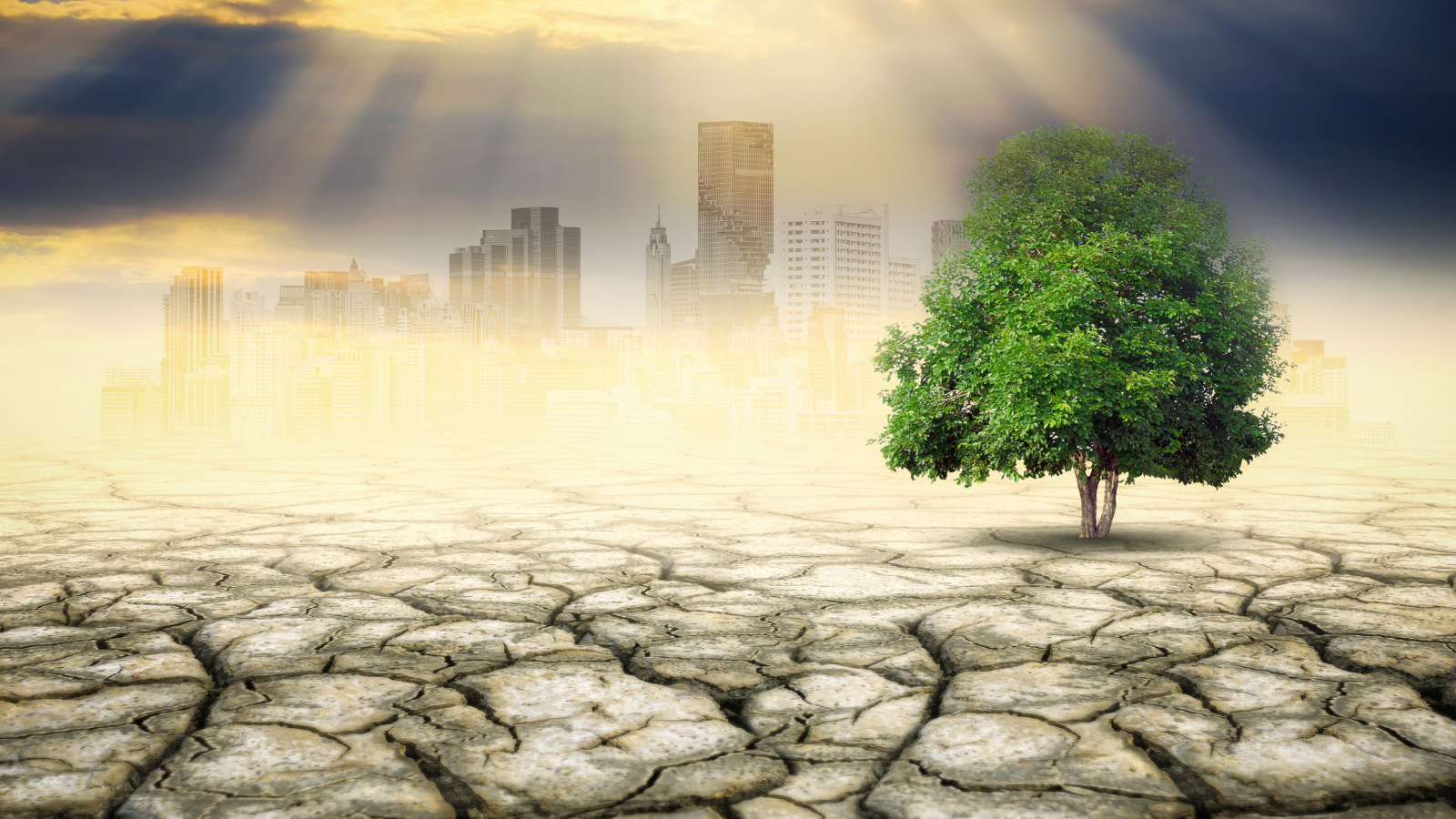 Küresel iklim hasarı 1,4 trilyon dolara ulaştı, ülkeler uyum konusunda hazırlıksız Küresel iklim hasarı 1,4 trilyon dolara ulaştı, ülkeler uyum konusunda hazırlıksız