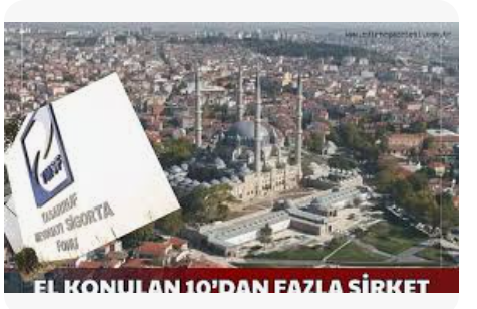 TMSF’nin Elindeki Şirket Sayısı 1000’i Aştı