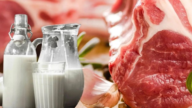 Et ve süt fiyatları uluslararası düzeyde yüksek kalıyor Et ve süt fiyatları uluslararası düzeyde yüksek kalıyor